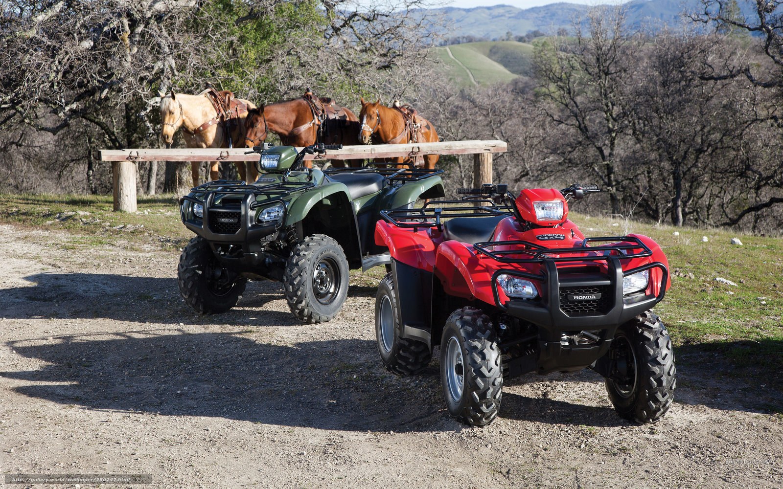 ATVs and horses in a rural setting