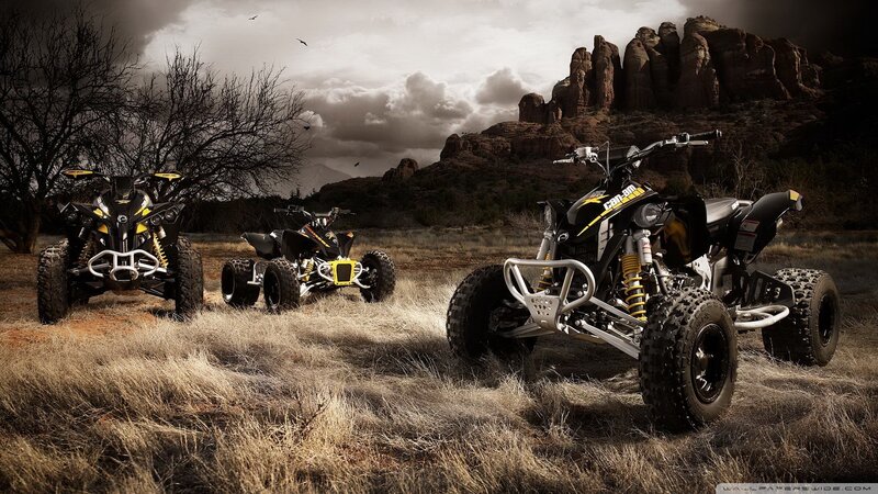 ATVs in a desert landscape