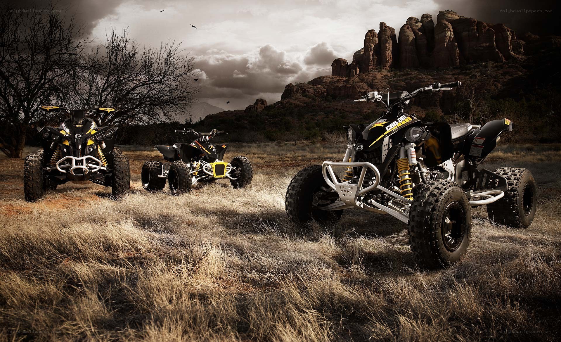ATVs in desert landscape