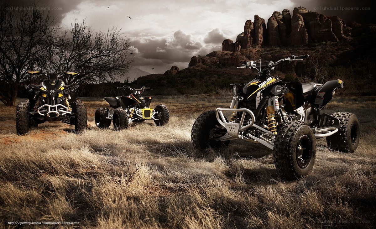 ATVs in desert landscape
