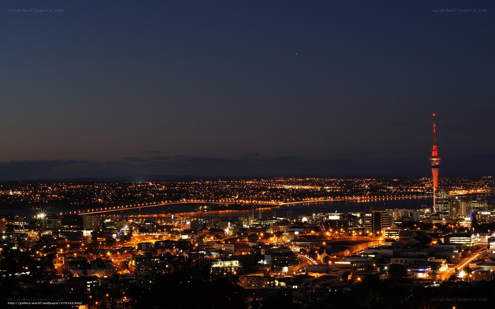 Auckland city at night