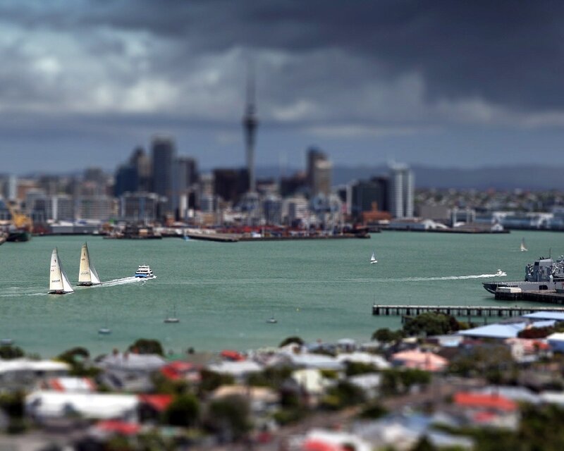 Auckland city skyline with sailboats
