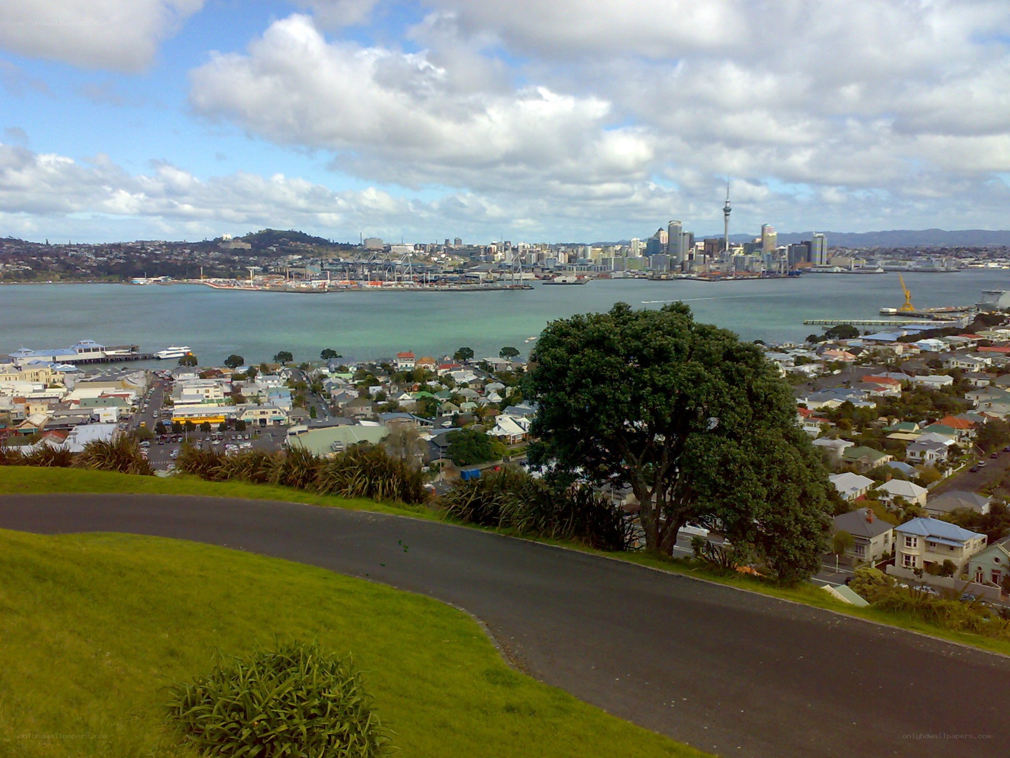 Auckland city view from a hill