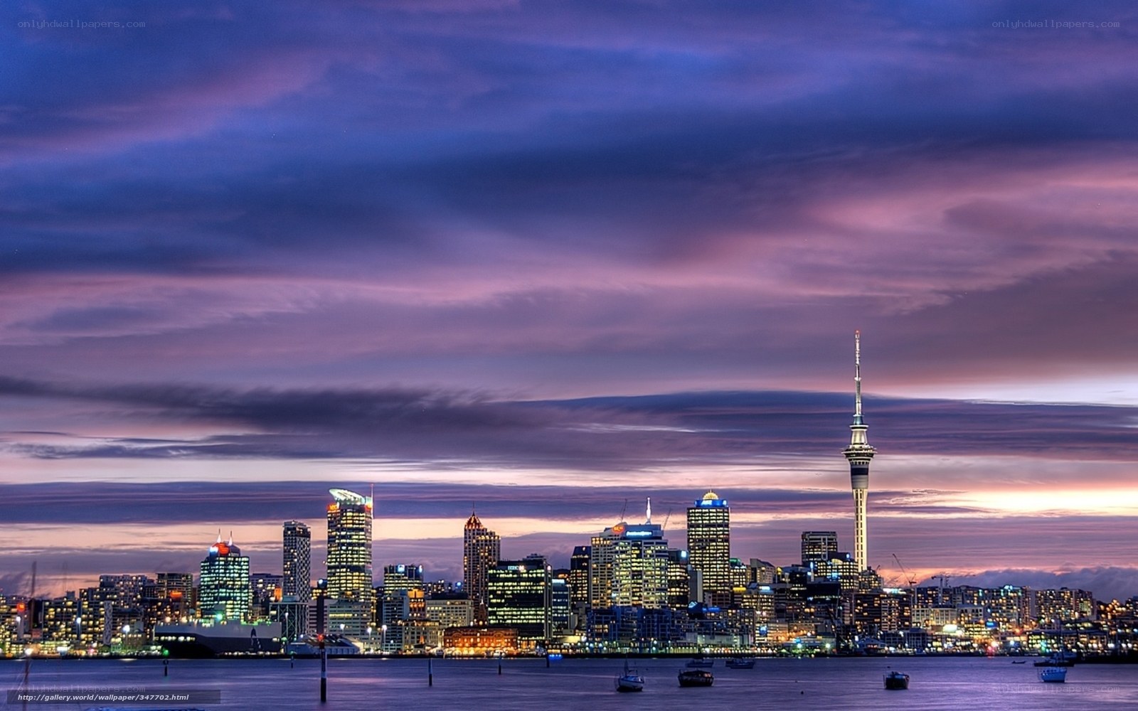 Auckland skyline at dusk