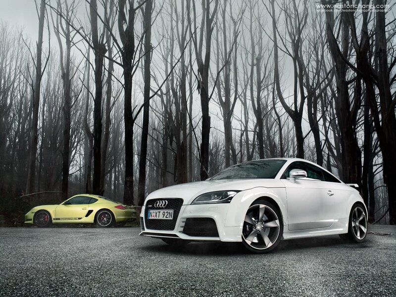 Audi and Porsche in a forest