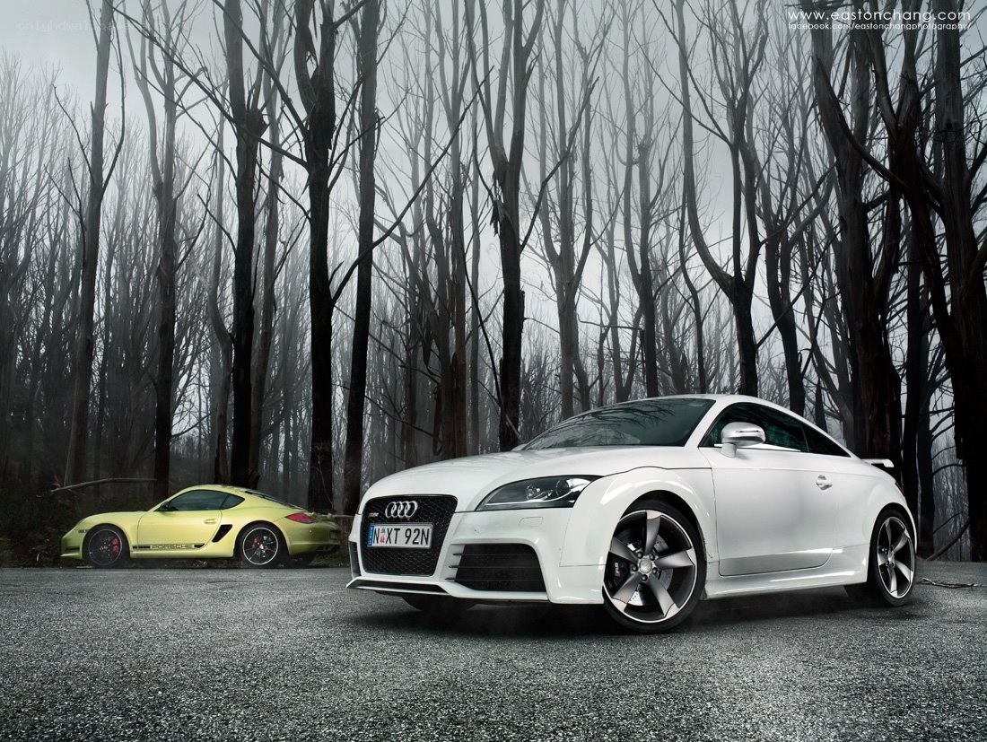 Audi and Porsche in a forest