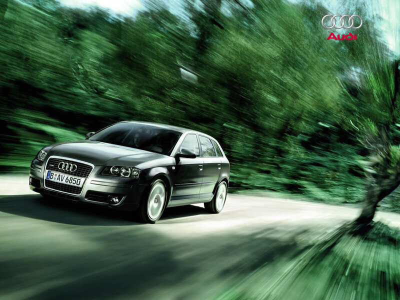 Audi car on a forest road