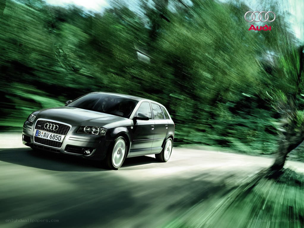 Audi car on a forest road