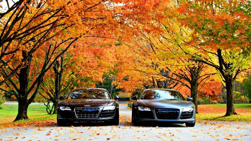 Audi cars in autumn
