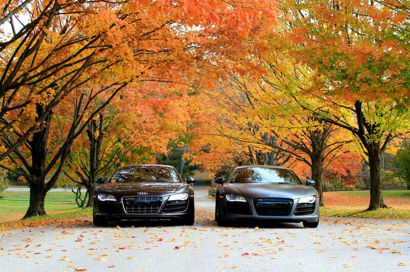 Audi cars in autumn