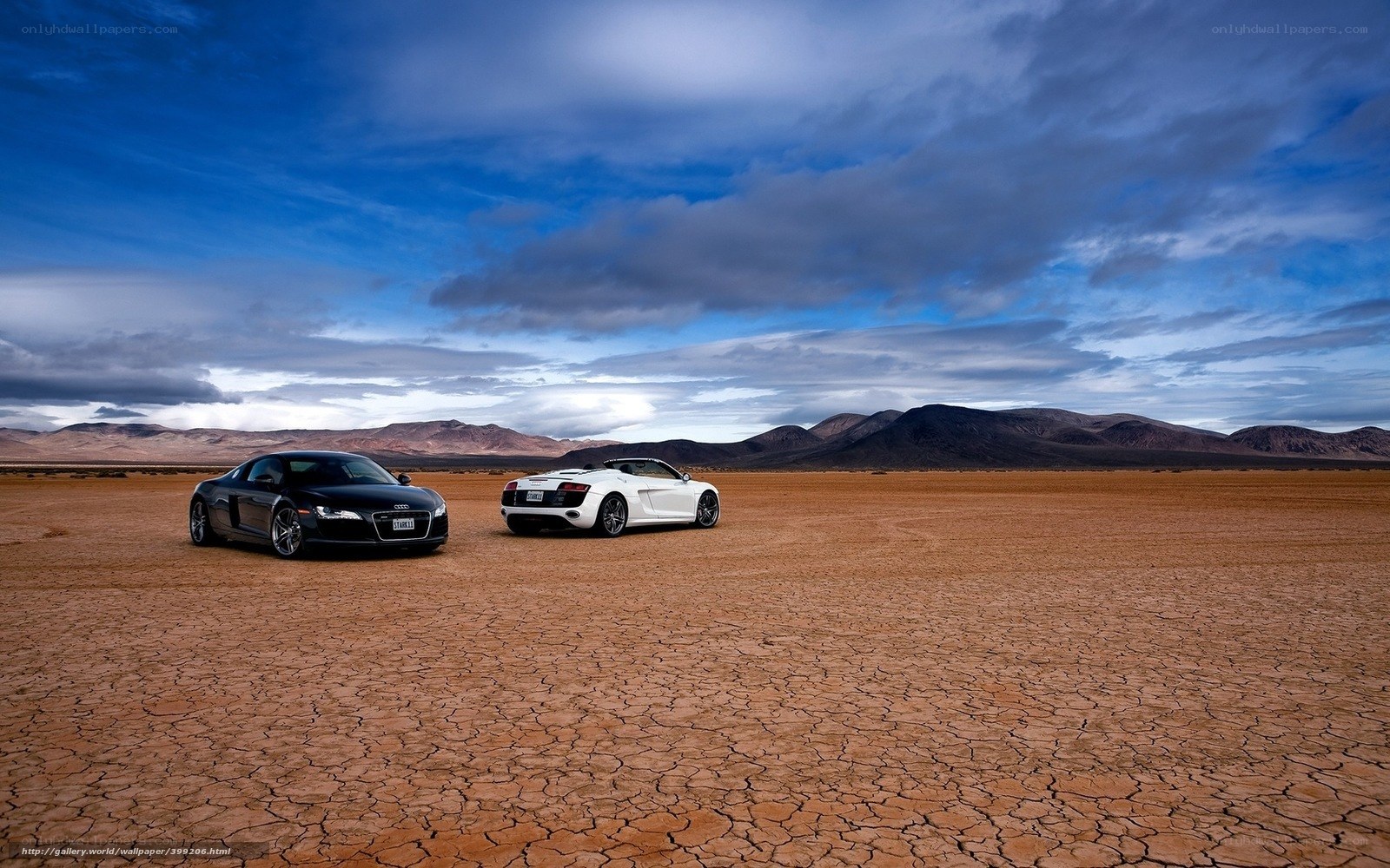 Audi cars in desert landscape