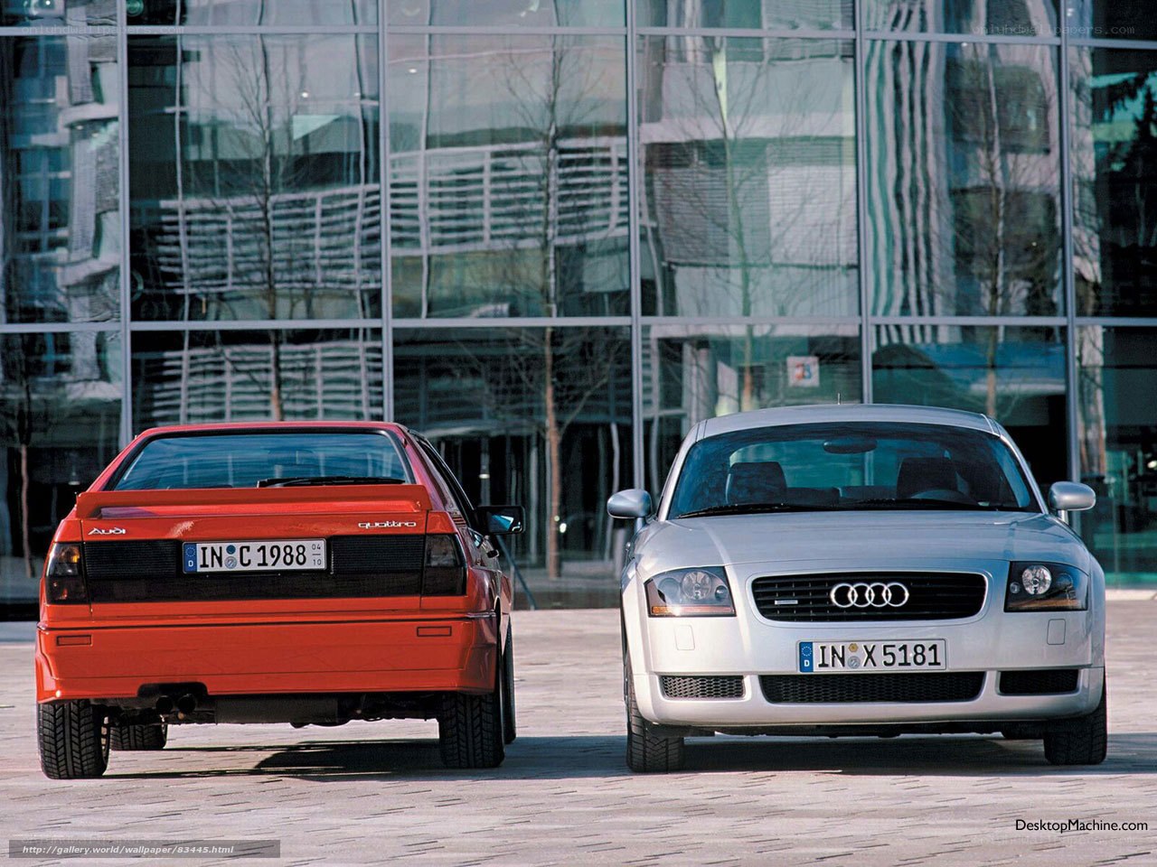 Audi cars in front of glass building