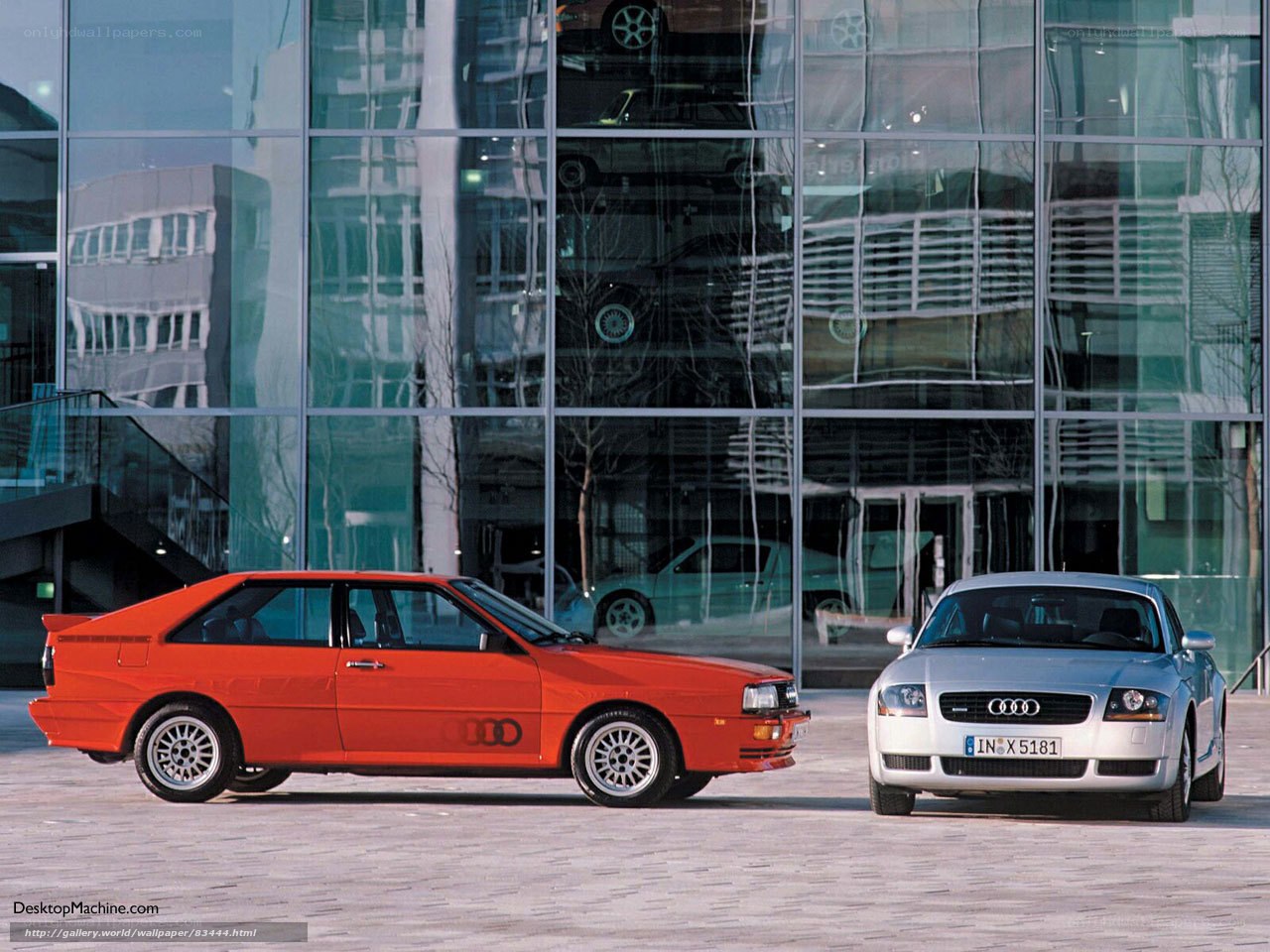 Audi cars in front of glass building