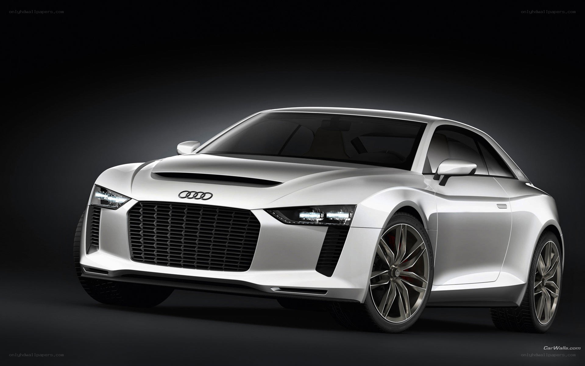 Audi concept car