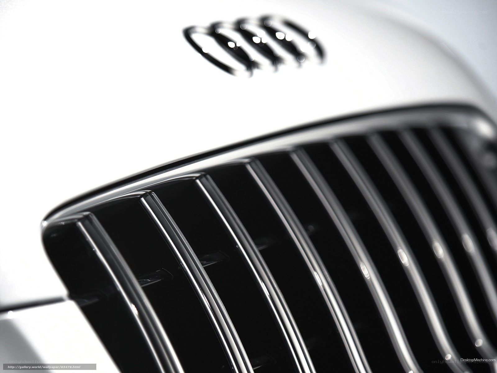 Audi grille close-up