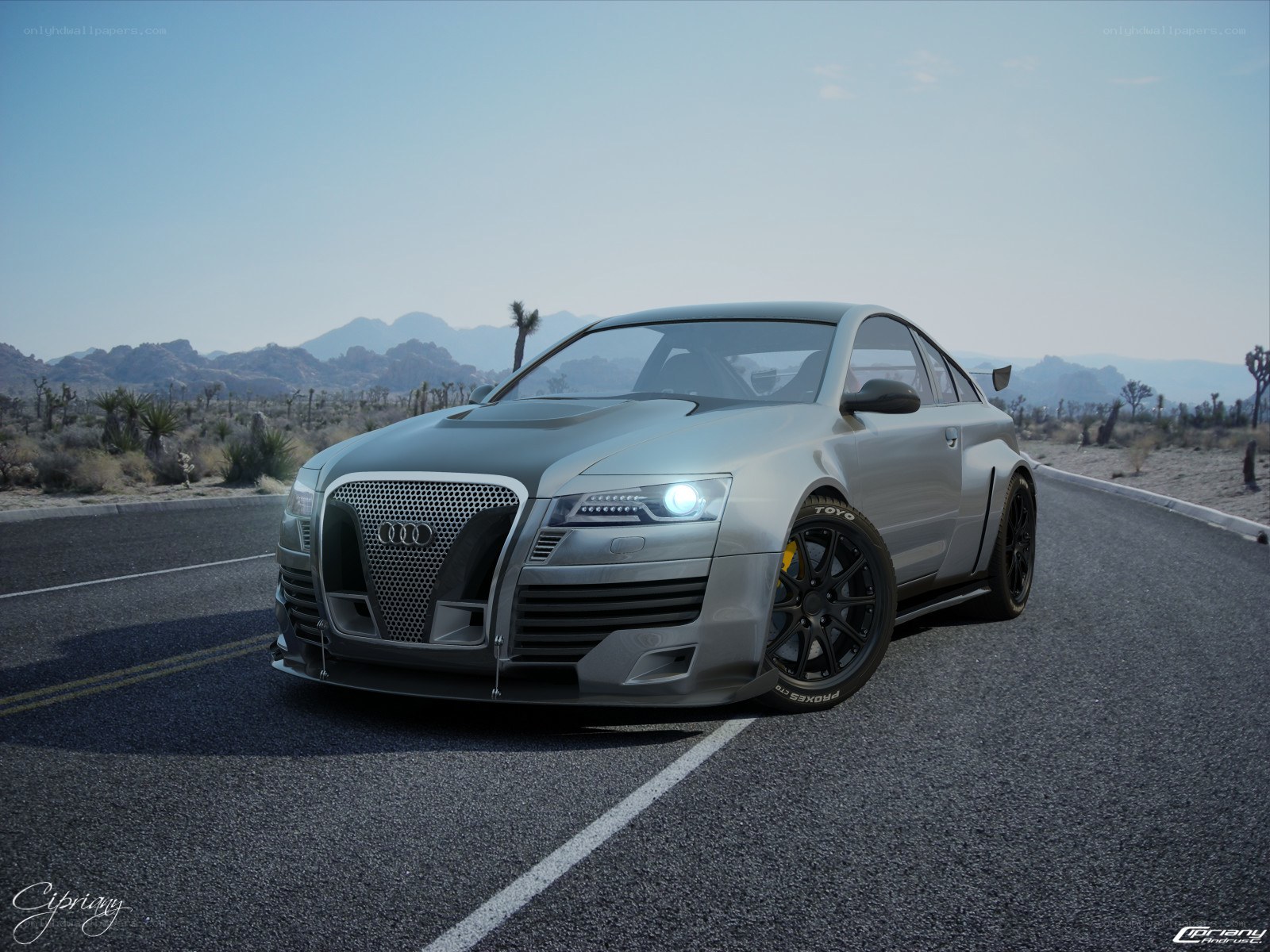 Audi in the desert