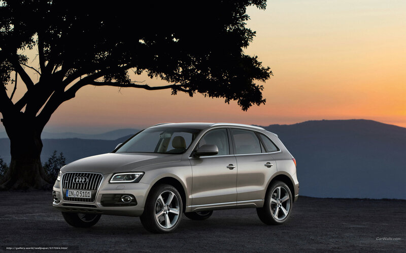 Audi Q5 at sunset
