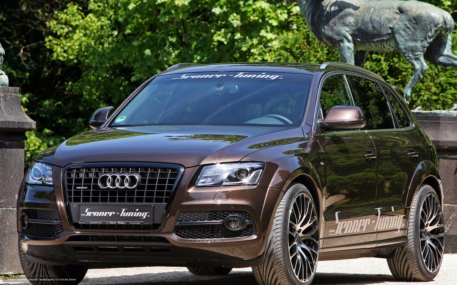 Audi Q5 by Senner Tuning