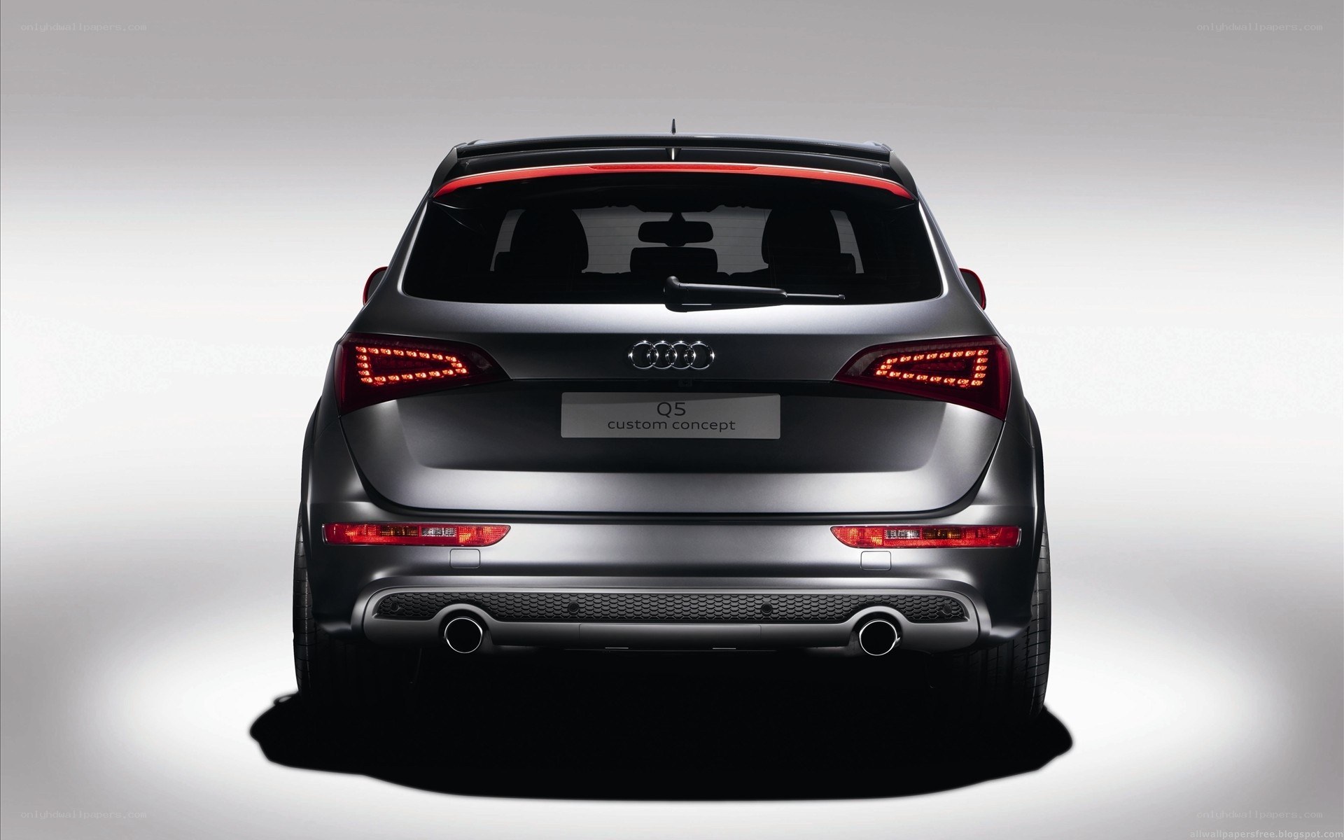 Audi Q5 Custom Concept rear view