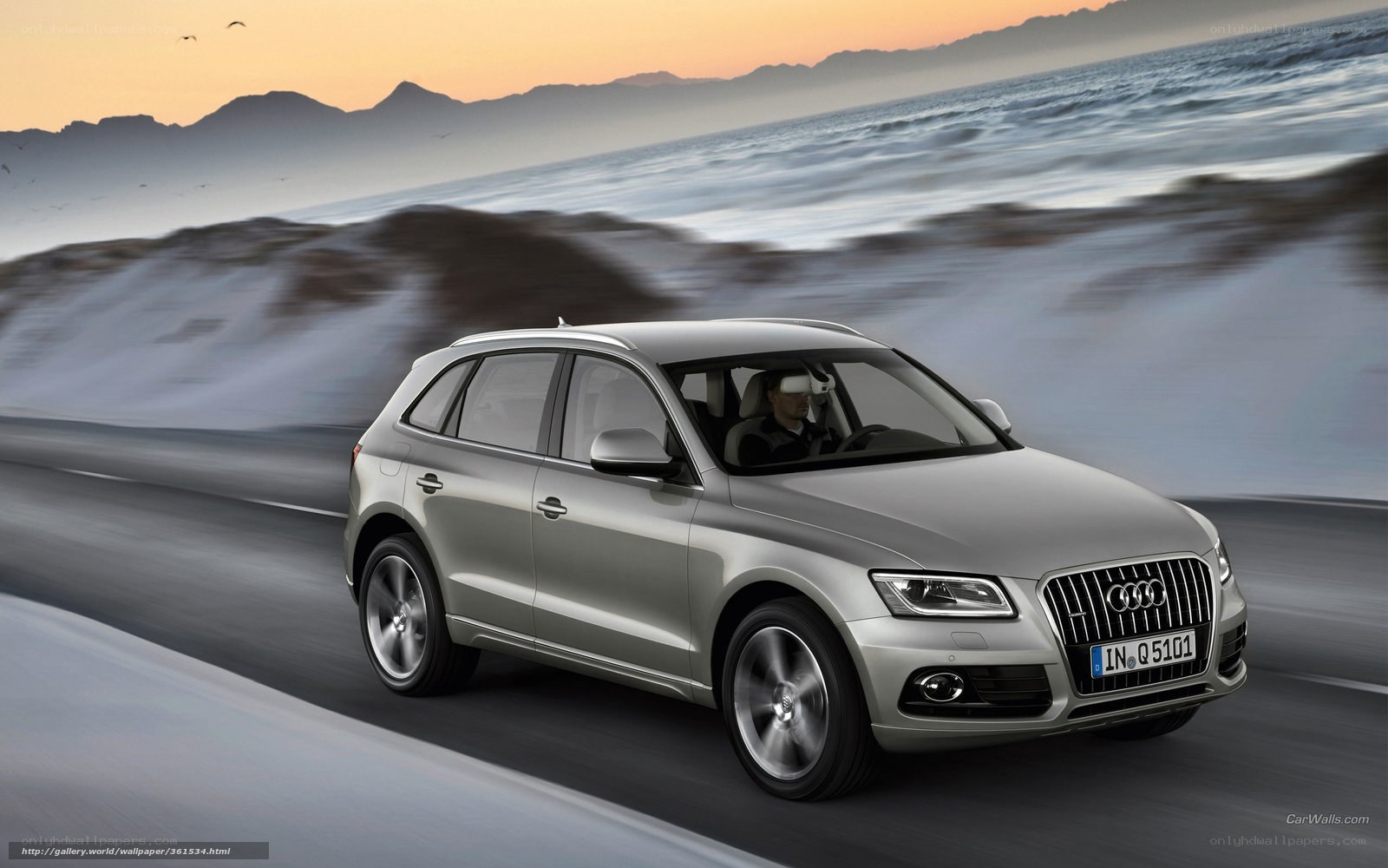 Audi Q5 driving on coastal road