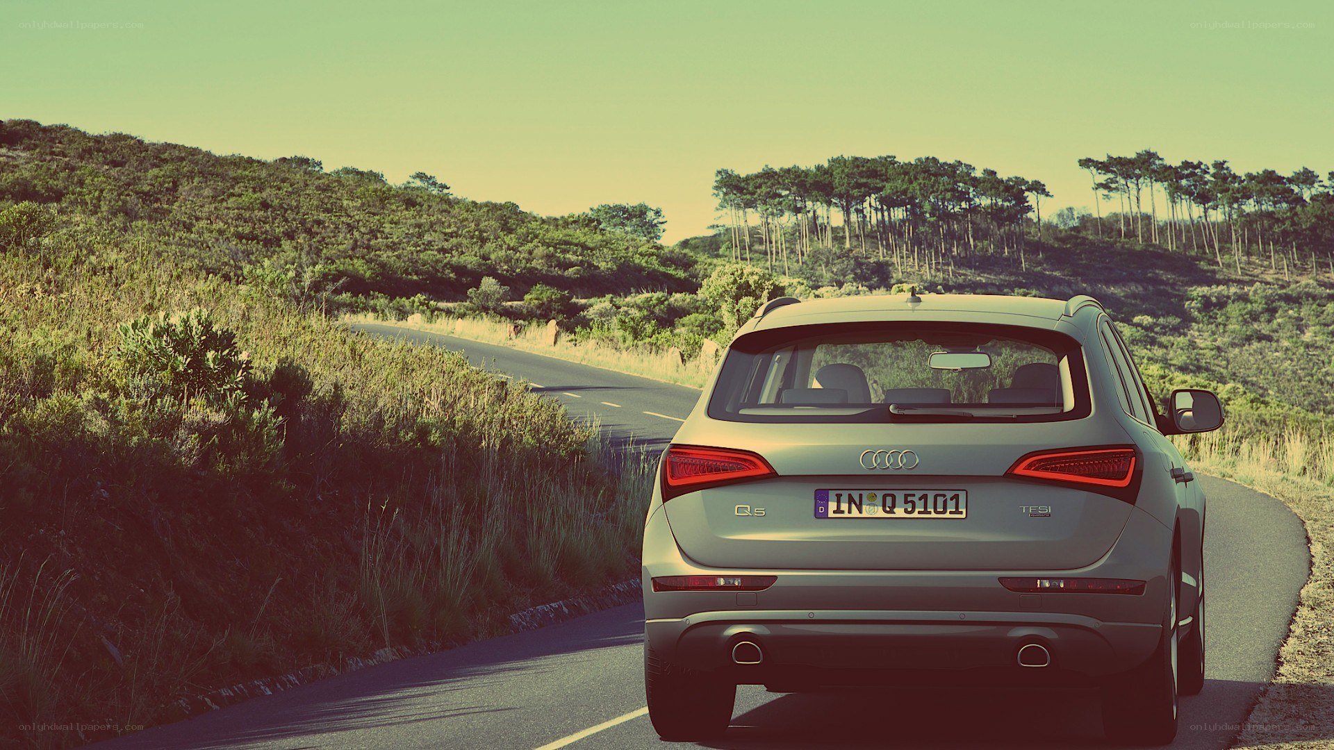 Audi Q5 on a winding road