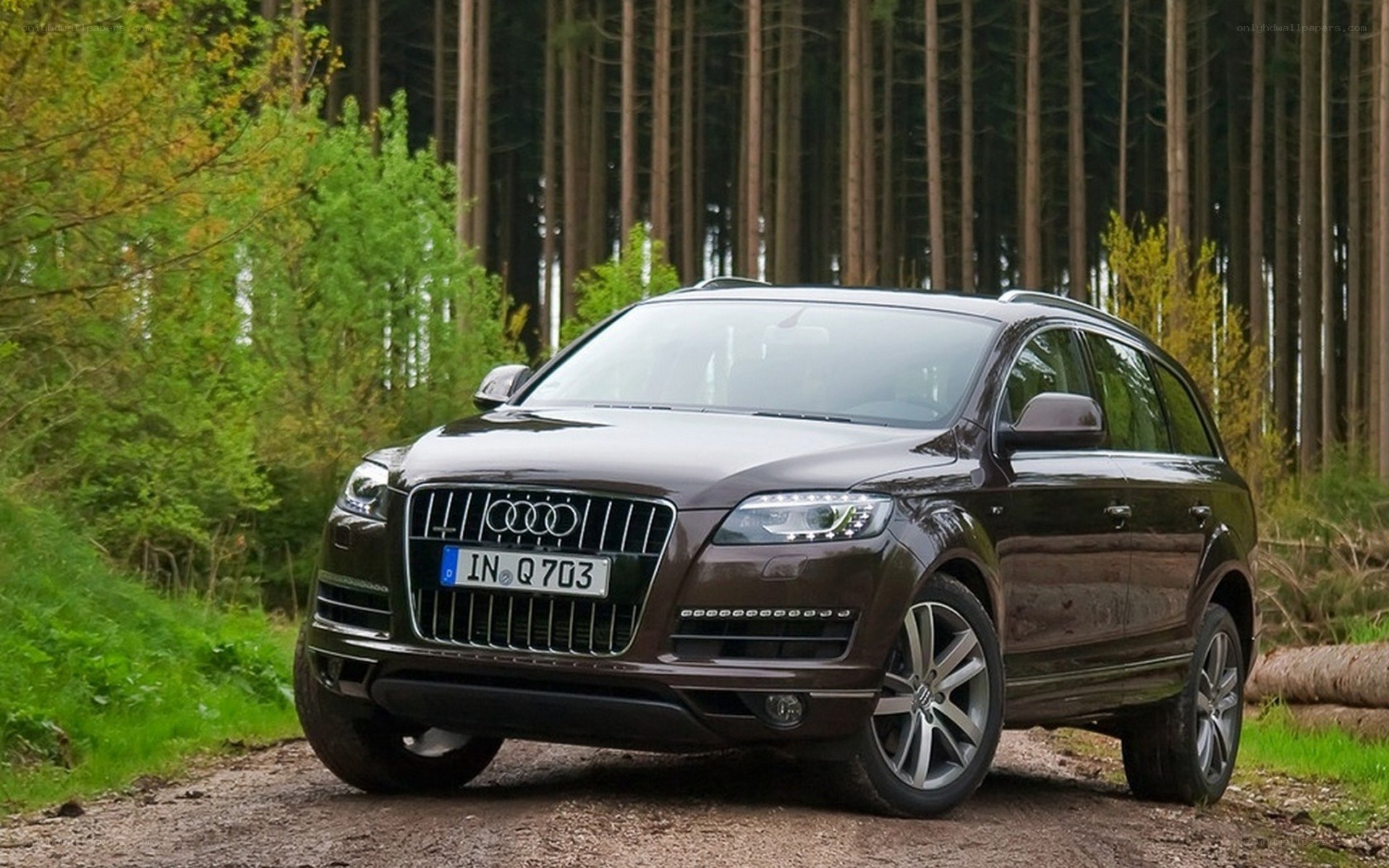 Audi Q7 in a forest