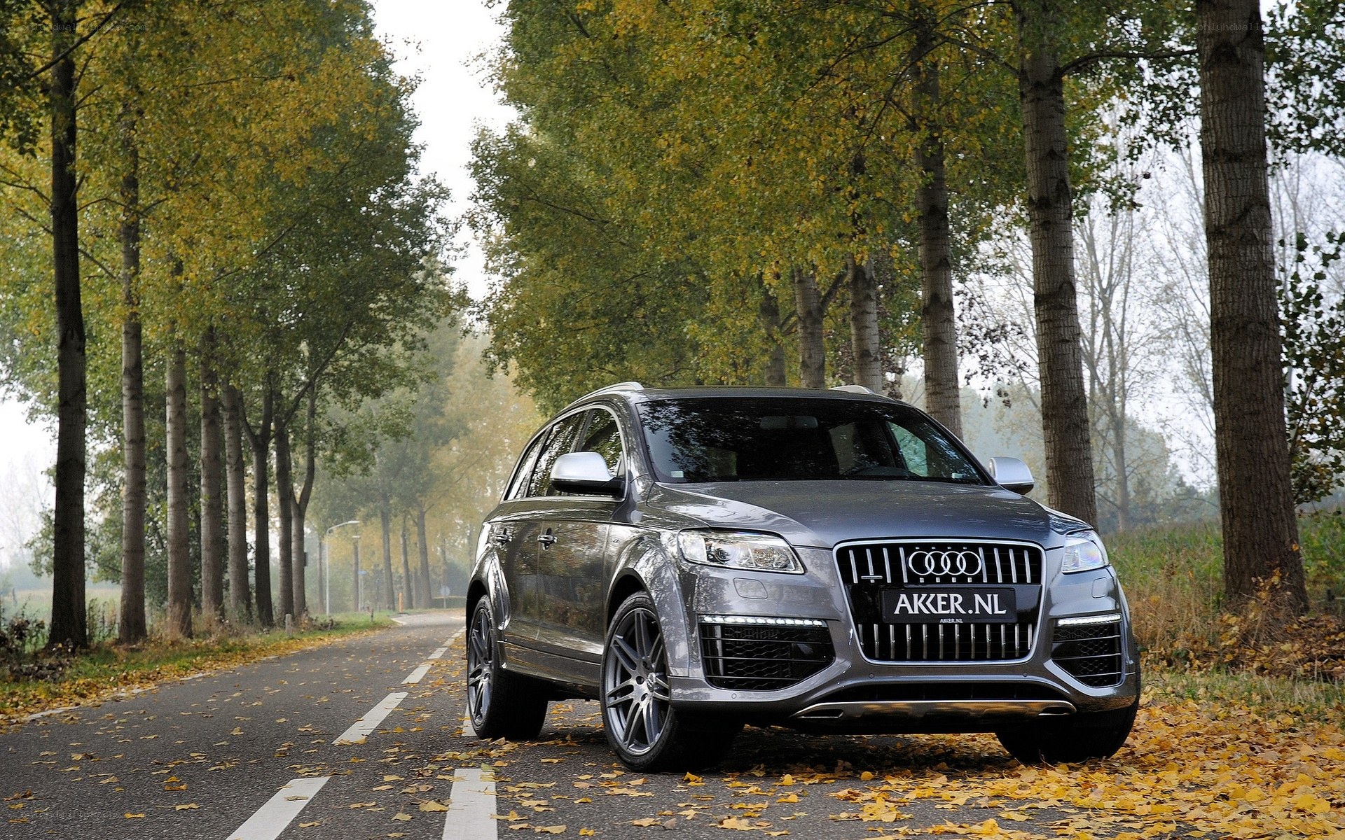 Audi Q7 on a leafy road