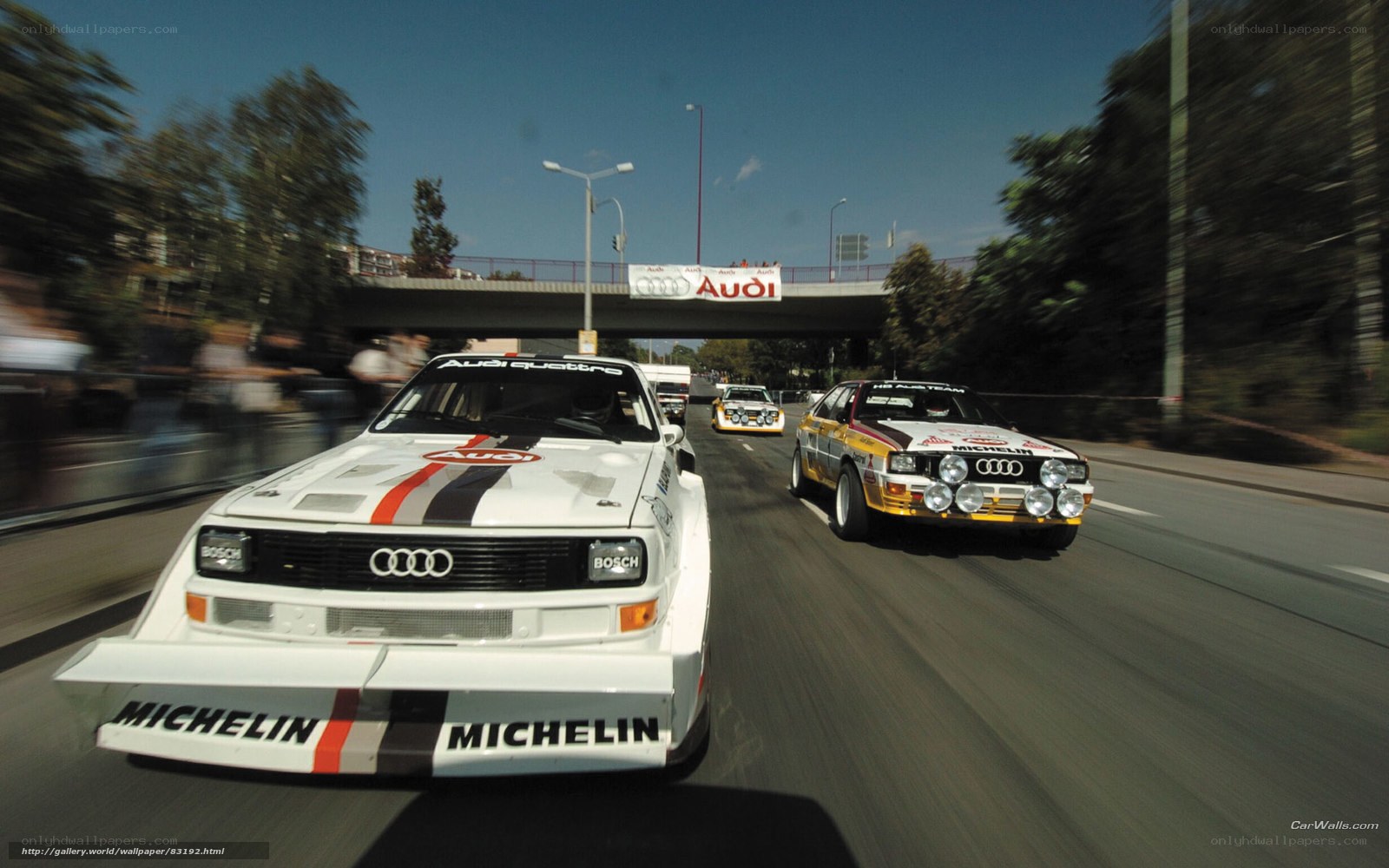 Audi Quattro rally cars in action