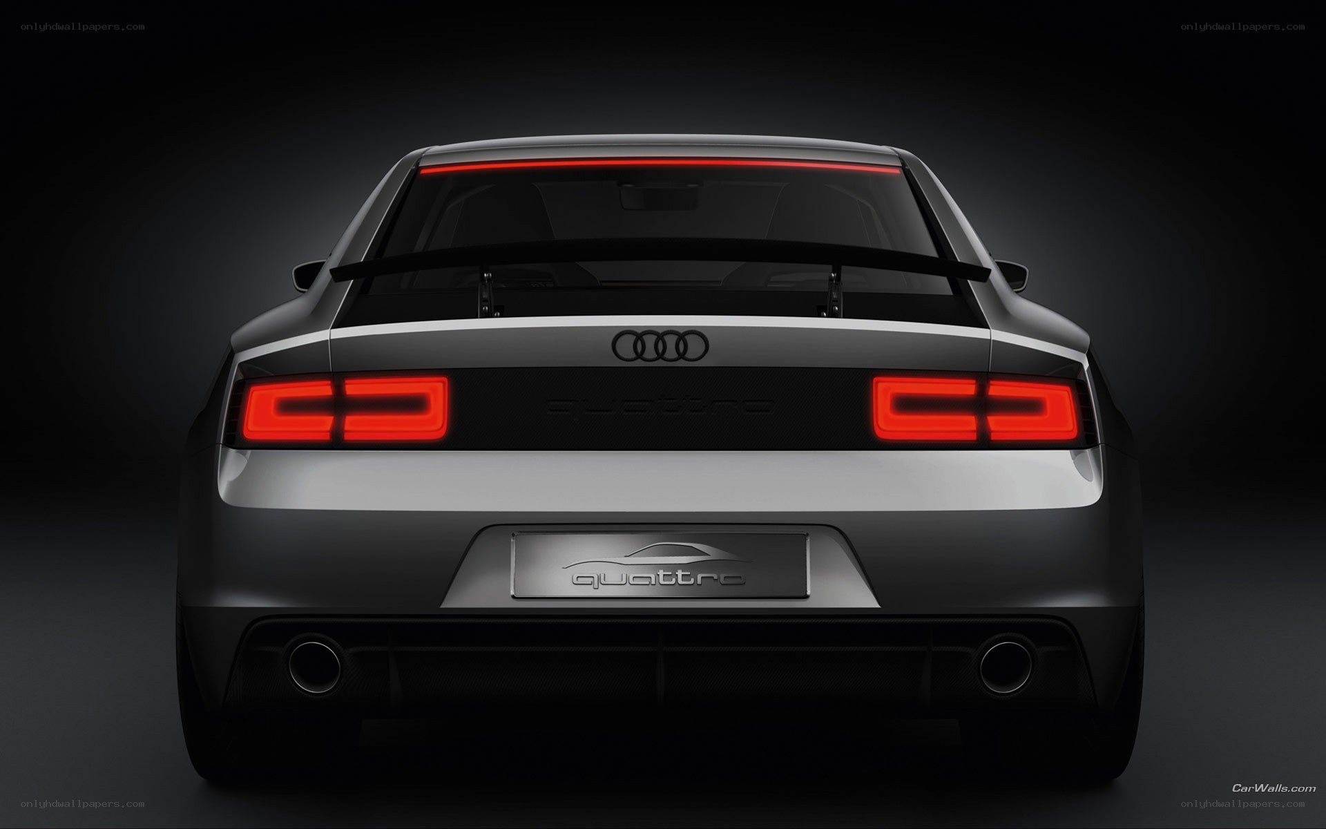 Audi Quattro rear view