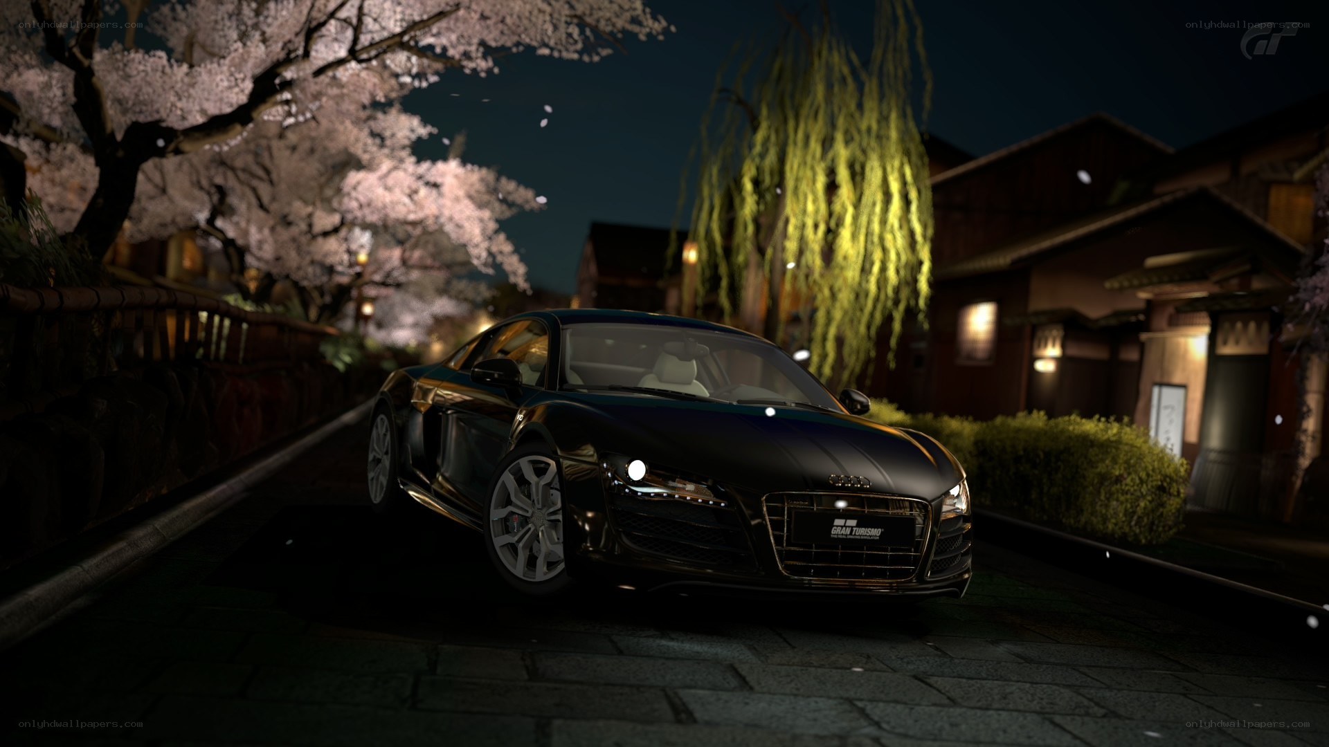 Audi R8 at night under cherry blossoms