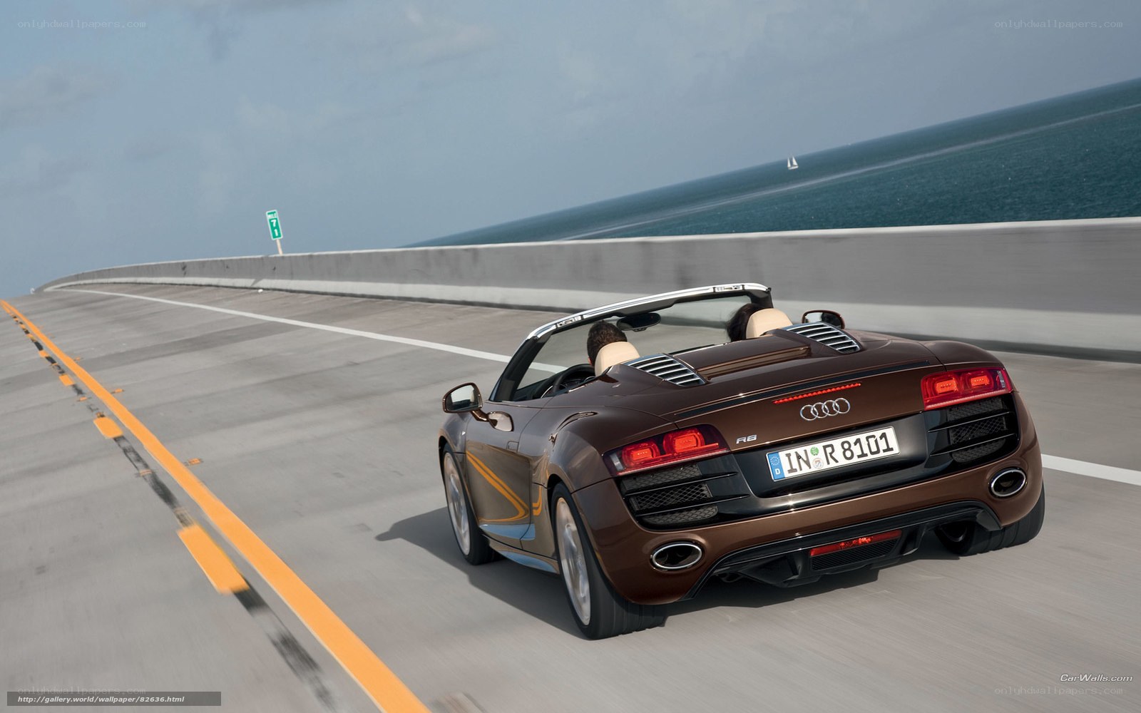 Audi R8 convertible on coastal road
