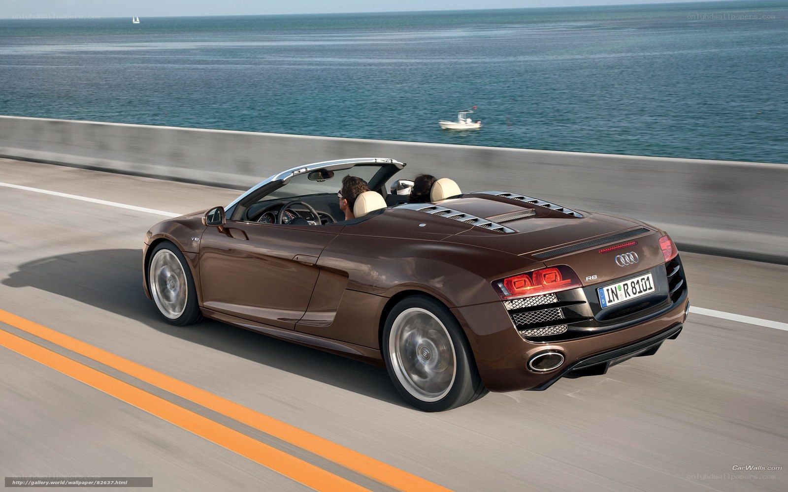 Audi R8 driving on coastal road