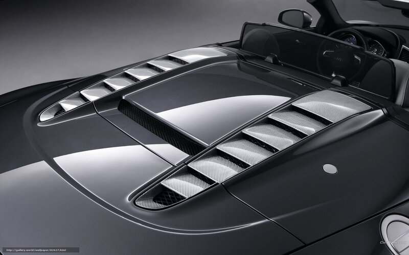 Audi R8 engine cover
