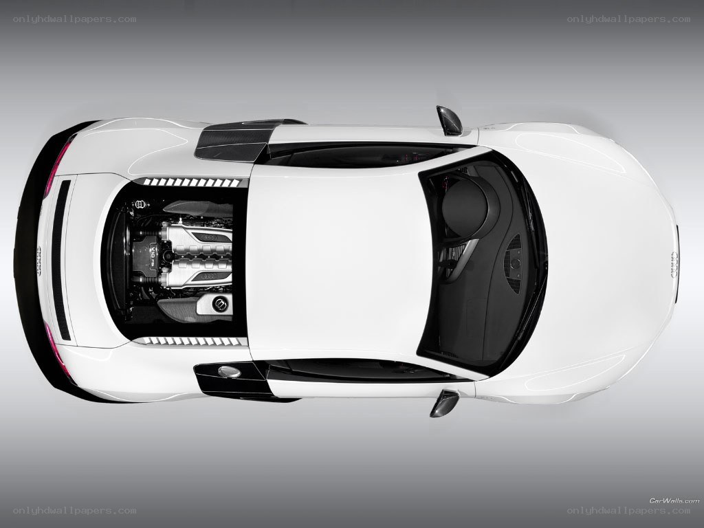 Audi R8 engine view