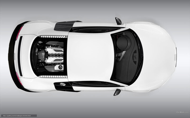 Audi R8 engine view