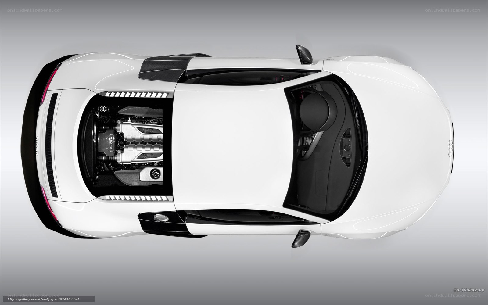 Audi R8 engine view