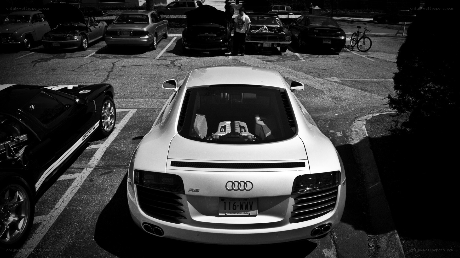 Audi R8 in a car meet