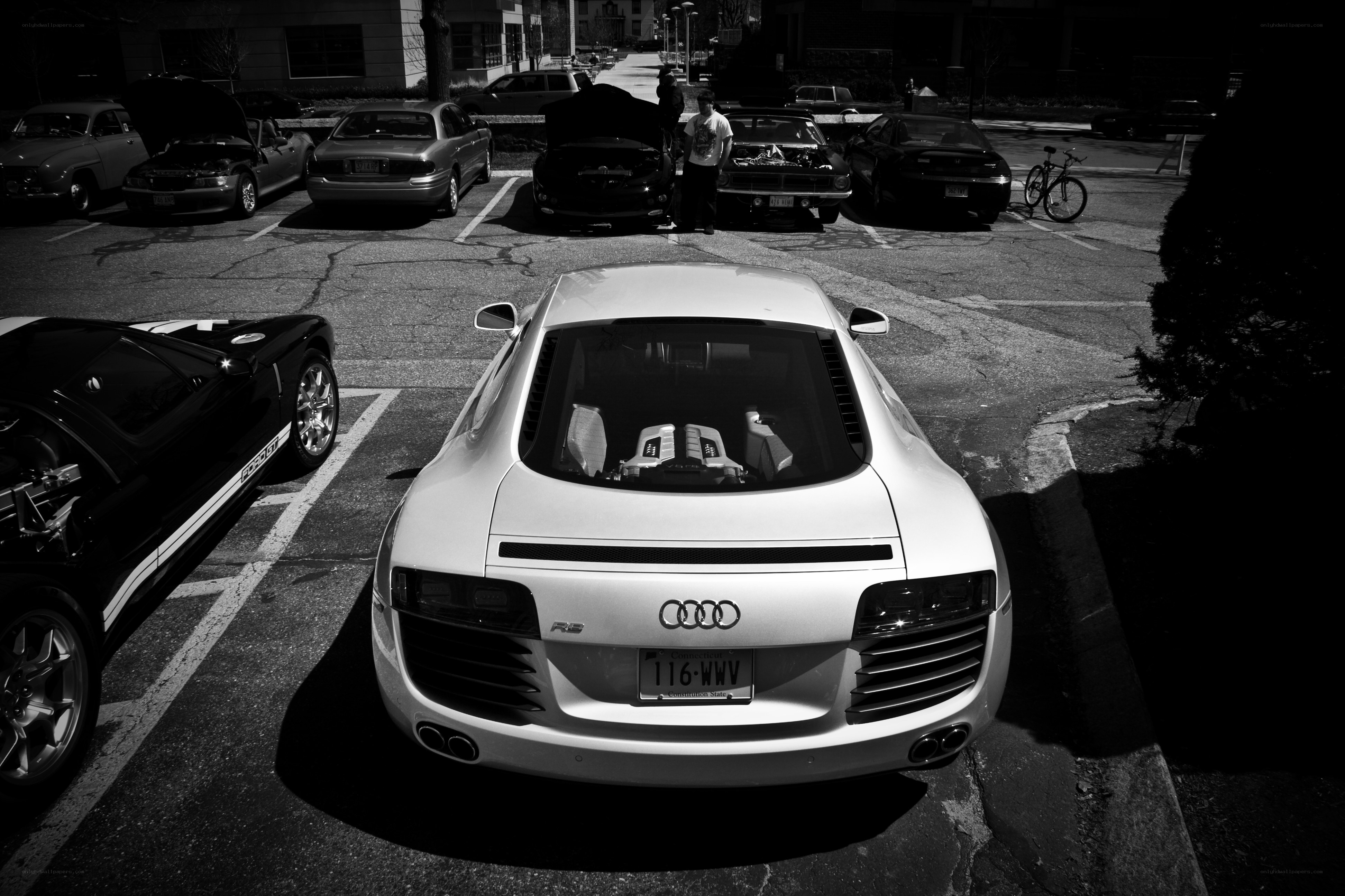 Audi R8 in a car meet