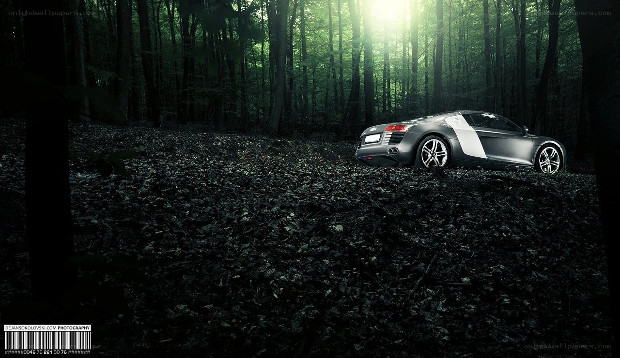Audi R8 in a forest