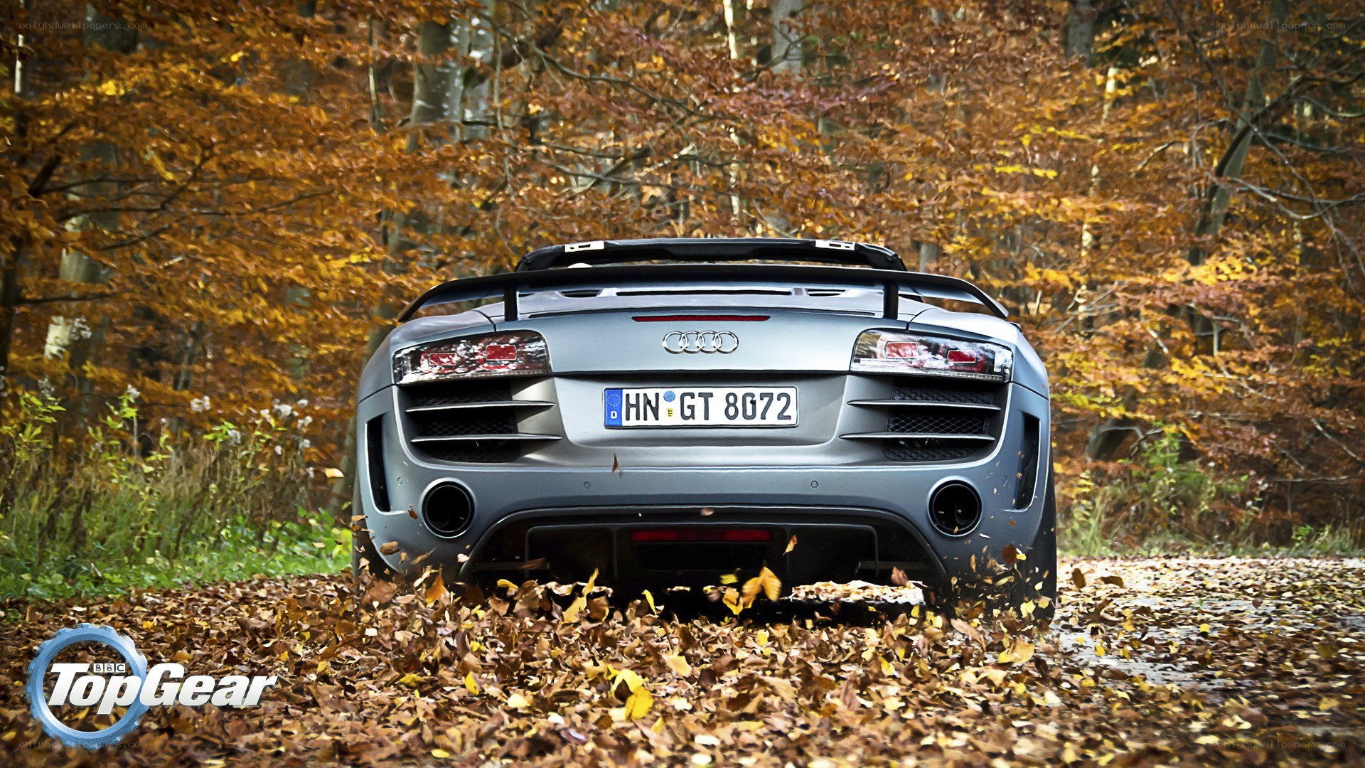 Audi R8 in autumn forest