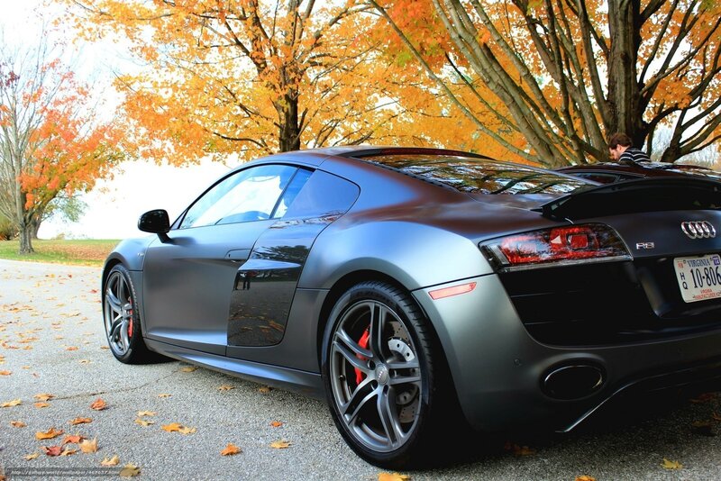 Audi R8 in autumn scenery