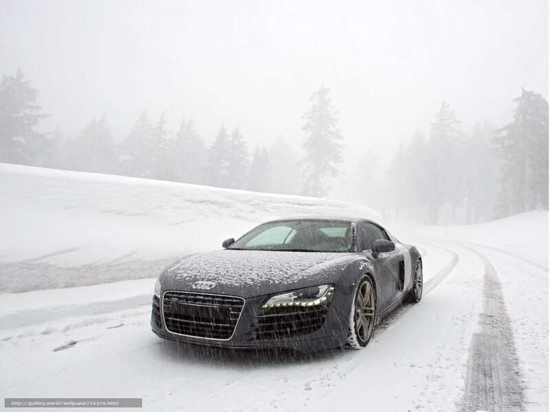 Audi R8 in snowy forest