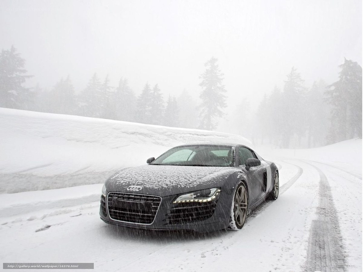 Audi R8 in snowy forest