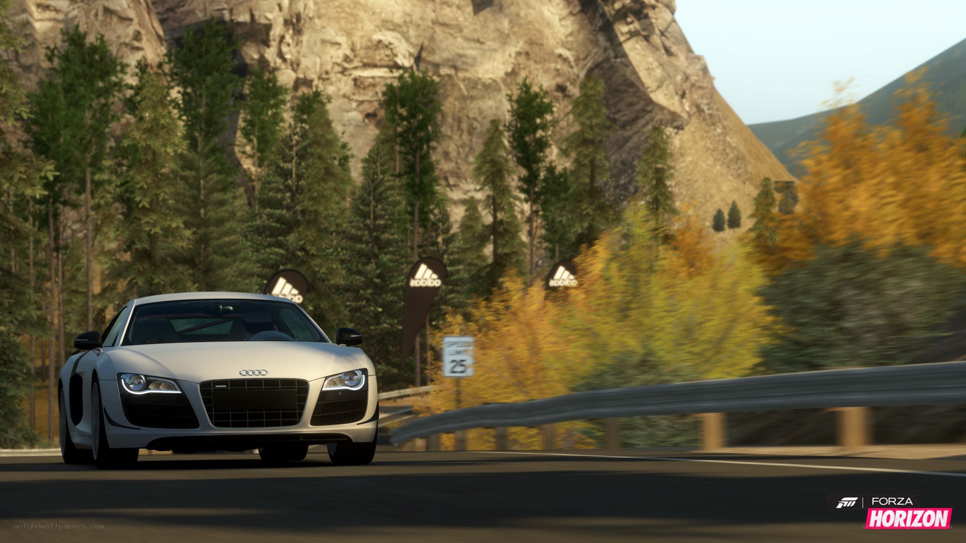 Audi R8 on a mountain road