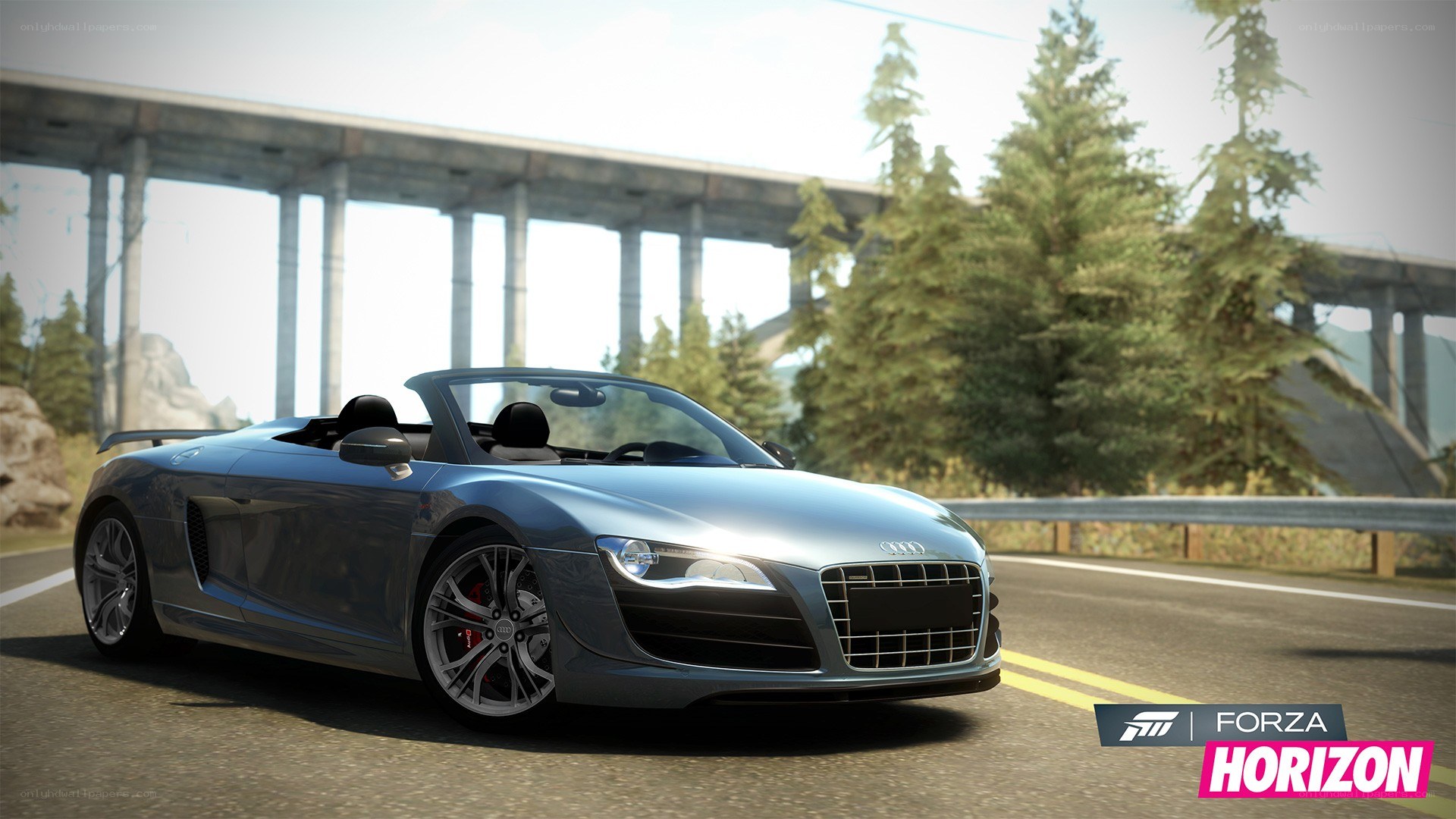 Audi R8 Spyder on a road