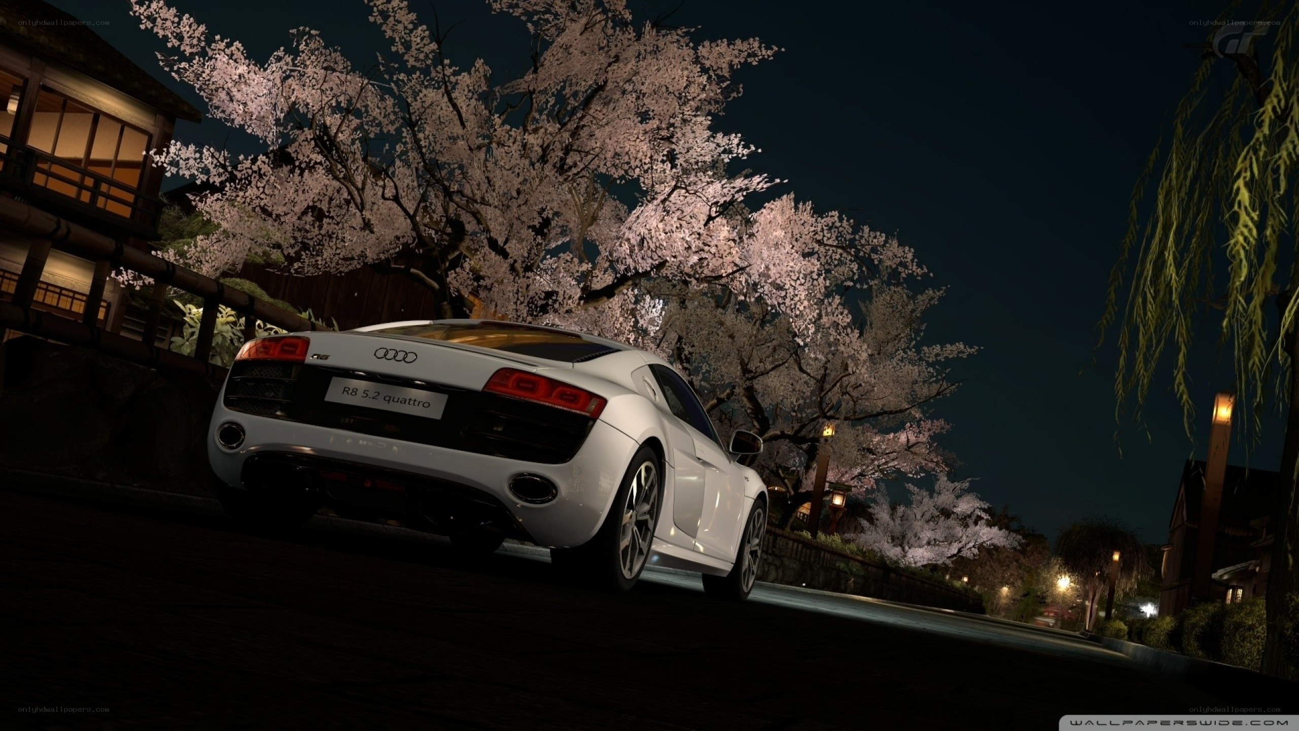 Audi R8 under cherry blossoms