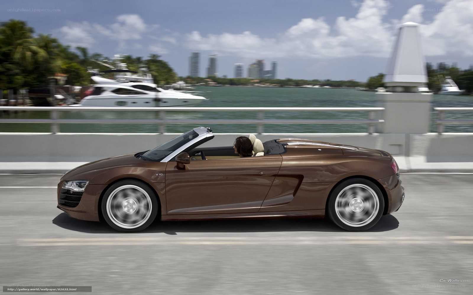 Audi R8 V10 convertible on a bridge