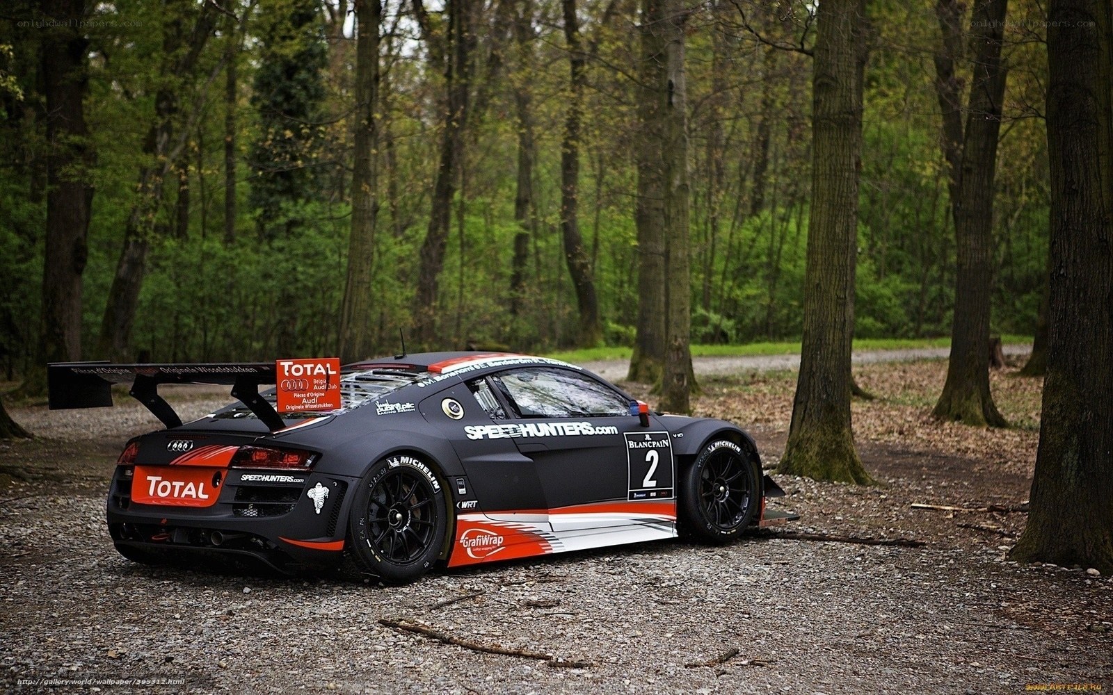Audi race car in forest