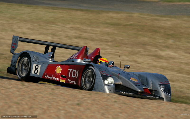 Audi Race Car on Track — Silver, Dynamic, Afternoon