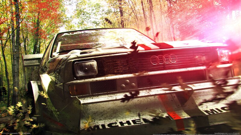 Audi rally car in autumn forest